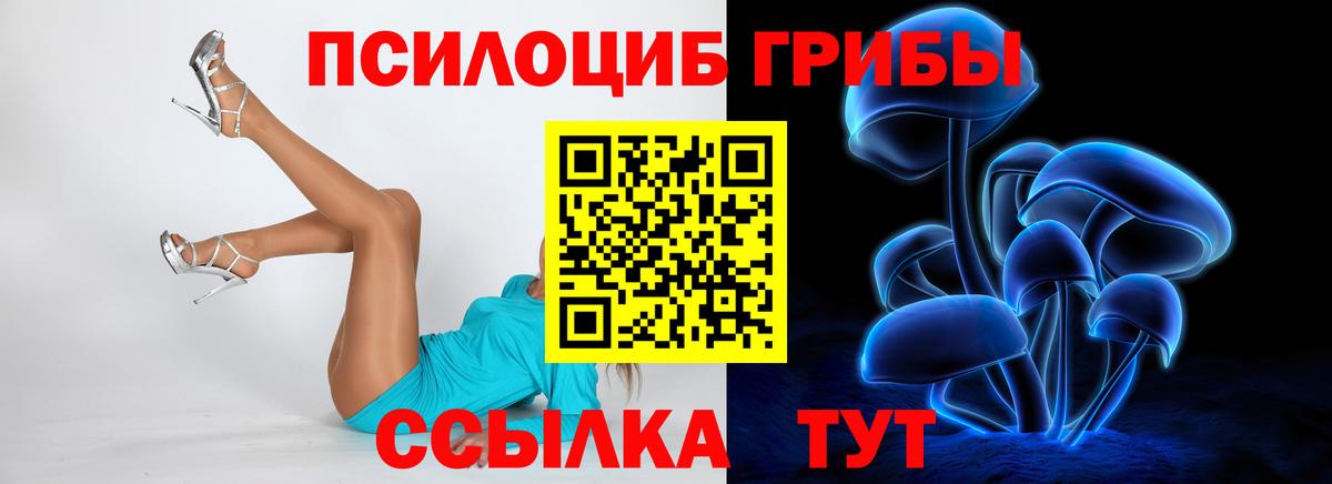 Псилоцибиновые грибы Cubensis Саратов